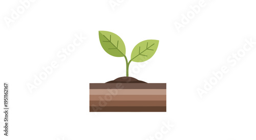 Young green sprout growing from layered soil, symbolizing new life and natural development