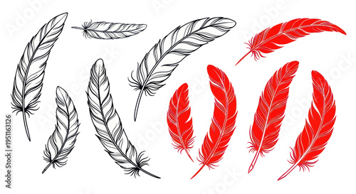 Set of Hand-Drawn Feathers, Black and Red, Isolated on White Background