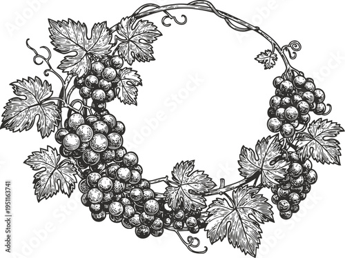 Illustration of grapevine wreath with clusters of grapes and detailed leaves in vintage engraving
