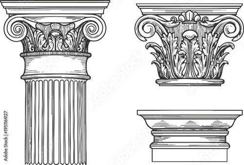 Classical corinthian column capital and base architectural elements detailed vintage engraving drawing