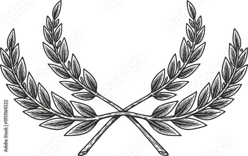 Crossed laurel branches vintage hand drawn botanical wreath element with leaves for heraldry and decoration