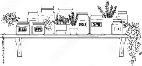 Minimalist black and white line art illustration showcasing a neatly organized kitchen pantry shelf filled with labeled jars and decorative houseplants, symbolizing domestic harmony.