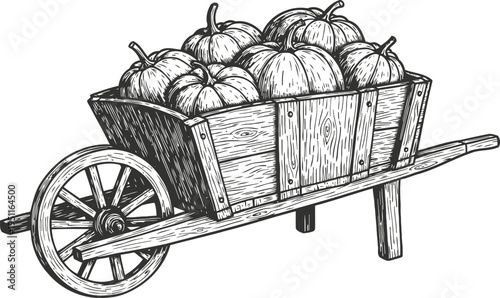 Wooden wheelbarrow filled with pumpkins, autumn harvest, vintage hand drawn illustration