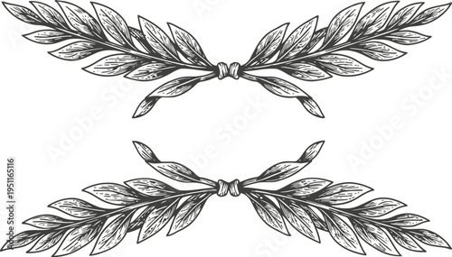 Hand drawn laurel wreaths with leaves, vintage botanical design elements, classical award and victory symbolism