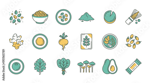 The illustration shows various types of food and plants arranged in rows on a white background for infographic.