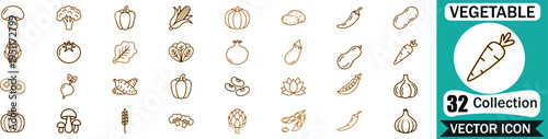 Set of thirty two vegetable line icons featuring various healthy food products including carrot mushroom corn and broccoli for modern culinary design projects and digital interface layouts