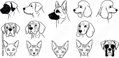 dog breeds vector