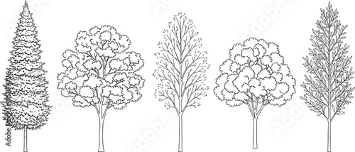 Tree illustration set line art, flat vector illustration, cad drawing, pine oak maple evergreen, landscape nature plant isolated black white.