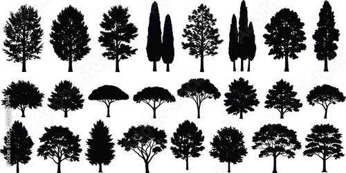 Set of diverse tree silhouettes including oak pine and cypress for landscape design and architectural visualization