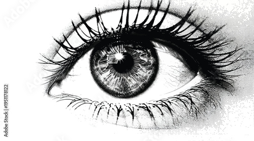 A detailed black and white illustration of a human eye with long eyelashes isolated on white background