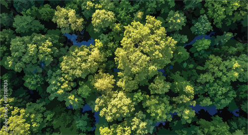 Aerial top-down view of a dense green forest with varied tree canopy textures and dark water visible between trees, lush nature background