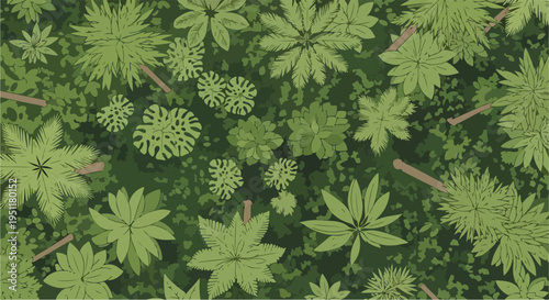 Top-down aerial view vector illustration of a dense green forest with various tree types and lush foliage, ideal for nature backgrounds and maps