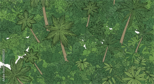 Top-down aerial view of a dense tropical rainforest with various green palm trees and lush foliage, natural jungle background vector illustration