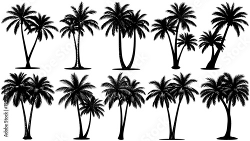 Vector set of double trunk tropical palm tree silhouettes in black, clean and balanced design, perfect for beach themes, summer scenes, and nature.