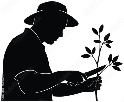 Silhouette of a gardener pruning a young plant with a knife while wearing a hat.