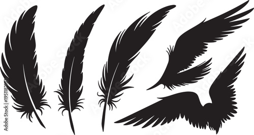 Black Solid Abstract Feather Silhouettes Set of Six on White Background