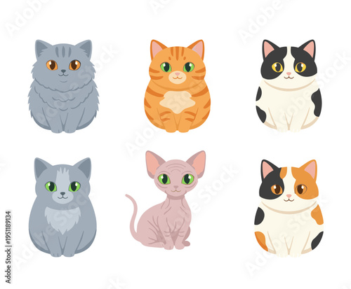 Different cat breeds collection in flat vector style including ginger tabby tuxedo sphynx and calico, cute domestic pet animal character set design