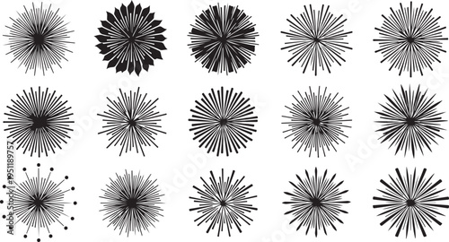 Collection of black and white abstract flower designs