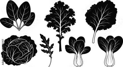 Variety of leafy greens and vegetables