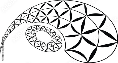 Abstract geometric nautilus shell vector illustration with intricate floral patterns, black and white line art, ideal for design elements and backgrounds