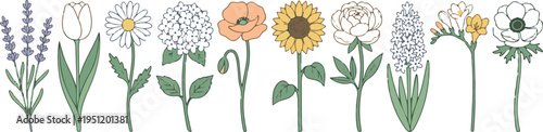 A colorful illustration of ten different types of flowers arranged in a row on a white background with green stems and leaves
