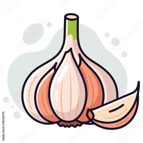 Garlic bulb with separated clove on white background illustration. non editable strokes