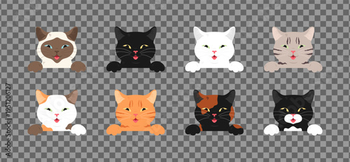 Peeking cats with different fur colors. Cats of different colors. Vector illustration