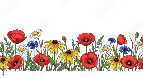 Vibrant Wildflower Border: Poppies, Daisies, Cornflowers & Black-Eyed Susans