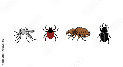 Insects bugs creatures small animals.