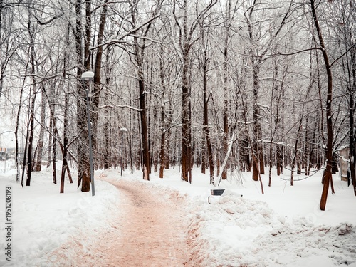 Photography Path in deep snow in the park
