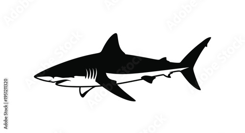 A striking black silhouette of a shark swimming in the ocean