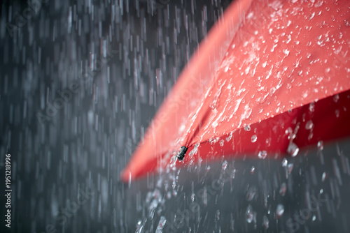 Rain on red umbrella background, weather forecast and environment concept