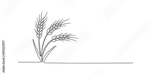 Continuous line drawing of three wheat stalks with ears of grain on a white background.