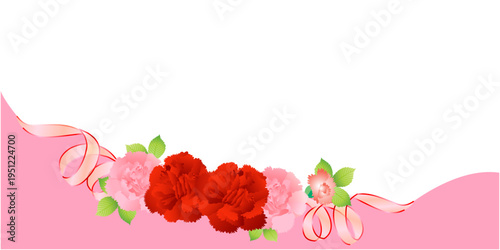 カーネーション