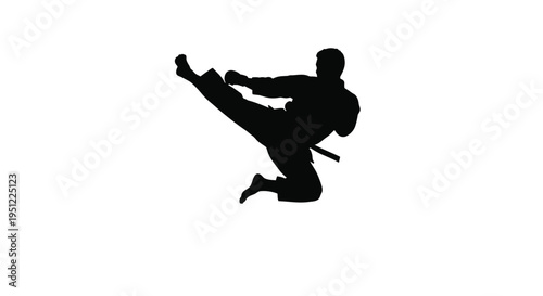Martial artist performing a dynamic kick captured in black silhouette