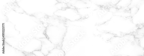 Marble granite white background wall surface black pattern graphic abstract light elegant gray for do floor ceramic counter texture stone slab smooth tile silver natural for interior decoration.