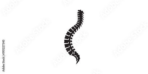 Human spine silhouette collection featuring vertebral column anatomy with pelvis from multiple views including lateral posterior and anterior for medical education