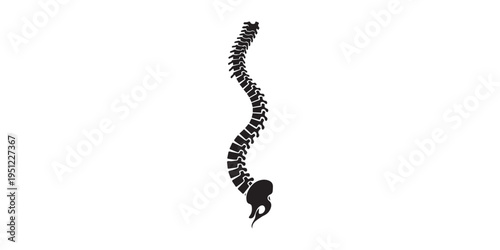 Human spine silhouette collection featuring vertebral column anatomy with pelvis from multiple views including lateral posterior and anterior for medical education