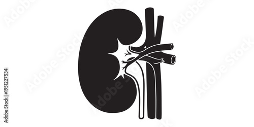 human kidney illustrated in black silhouette on a white background.Black silhouettes of human body parts and organs medical anatomy health,editable stroke