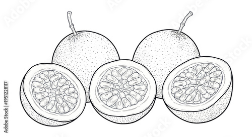Passion Fruit Outline Drawing - Whole and Halved Tropical Fruit