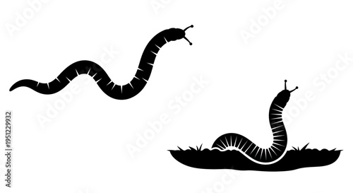 Two black silhouettes of caterpillars one crawling one in grass