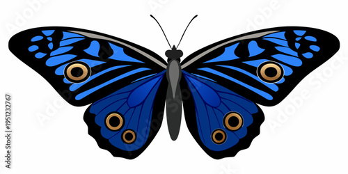 A vibrant morpho butterfly with striking blue and black patterned wings