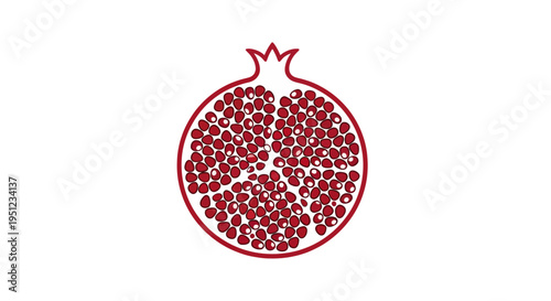 Pomegranate Fruit Illustration Red Seeds.