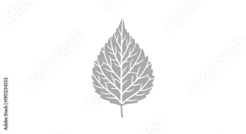 Detailed illustration of a single leaf.