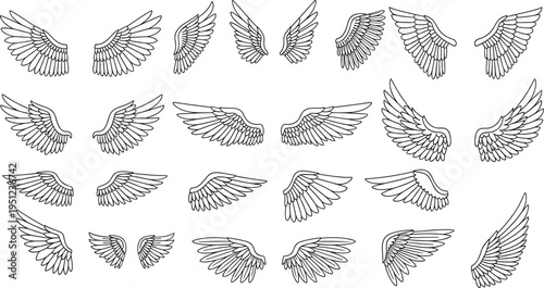 Flat vector angel and bird wings collection set with various feather styles and shapes outline sketches isolated on white background,