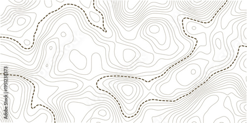 Topographic map background. Grid map. Abstract vector illustration.