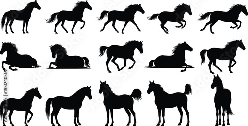 Collection of various horse poses in silhouette against a white background showcasing equine movement and anatomy
