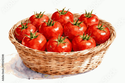Ripe Red Vegetable Basket of Fresh Tomatoes isolated watercolor vector illustration svg