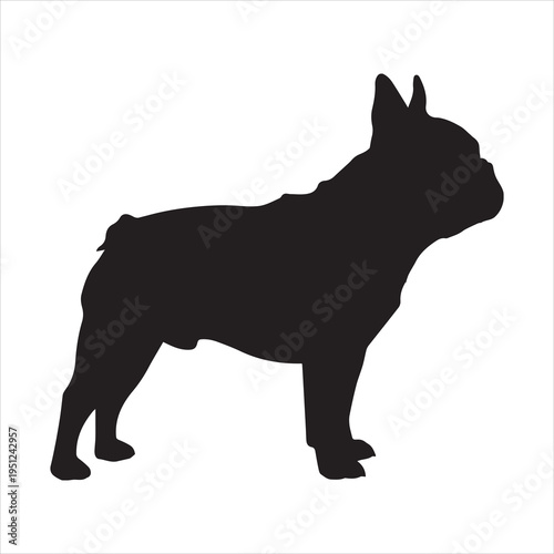 French Bulldog black silhouette vector illustration standing side view isolated on white background