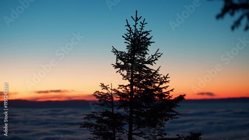 sunset in the mountains with tree